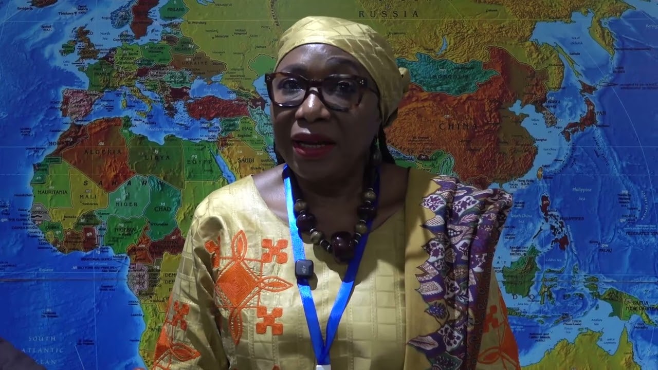 Débriefing des observateurs internationaux après la présidentielle du 15 mars