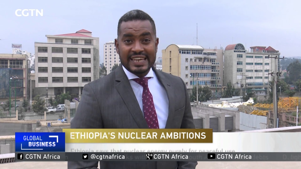 Russia to help Ethiopia in development of nuclear energy