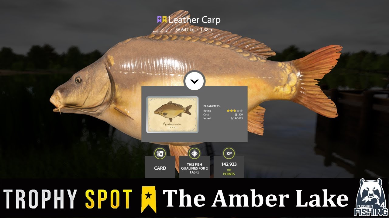 Russian Fishing 4  The Amber Lake Trophy Leather Carp Spot