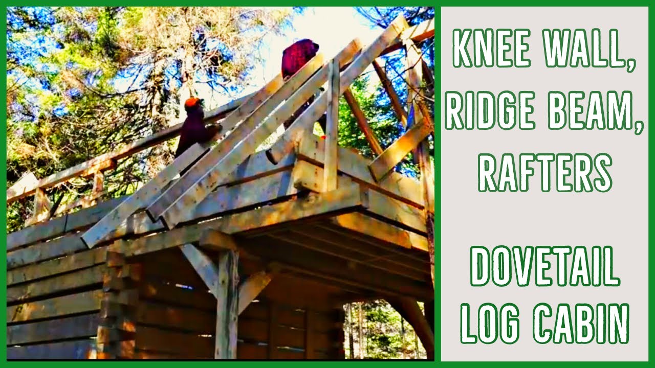 Dovetail Log Cabin -  Building + Installing Knee Wall, Ridge Beam and Rafters
