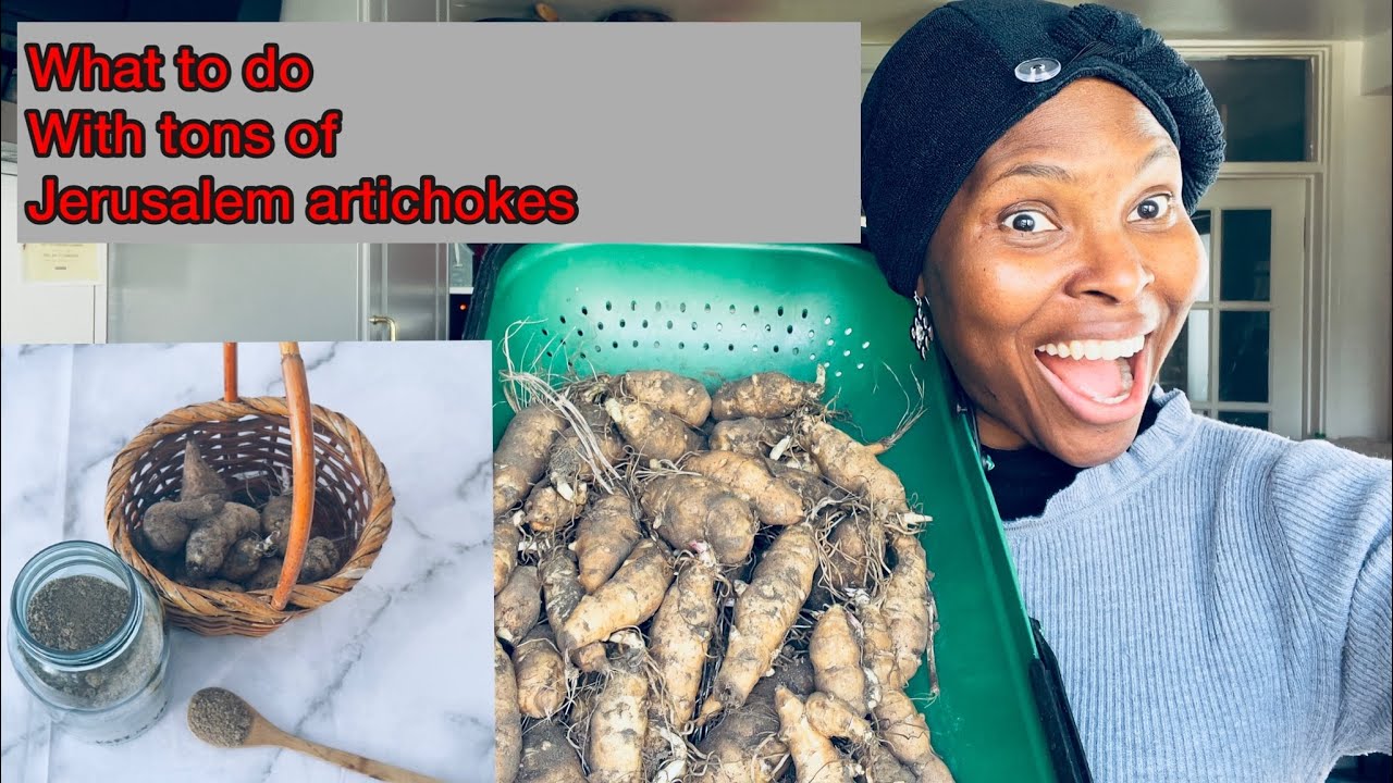 How to dehydrate Jerusalem artichokes long term storage