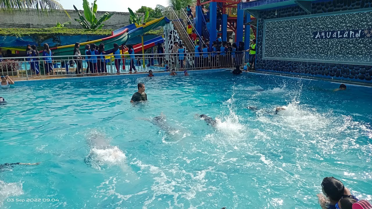 Latihan Kaki Gaya Bebas dengan Tangan Satu Memegang Pelampung | Memperbaiki Teknik Renang Gaya Bebas