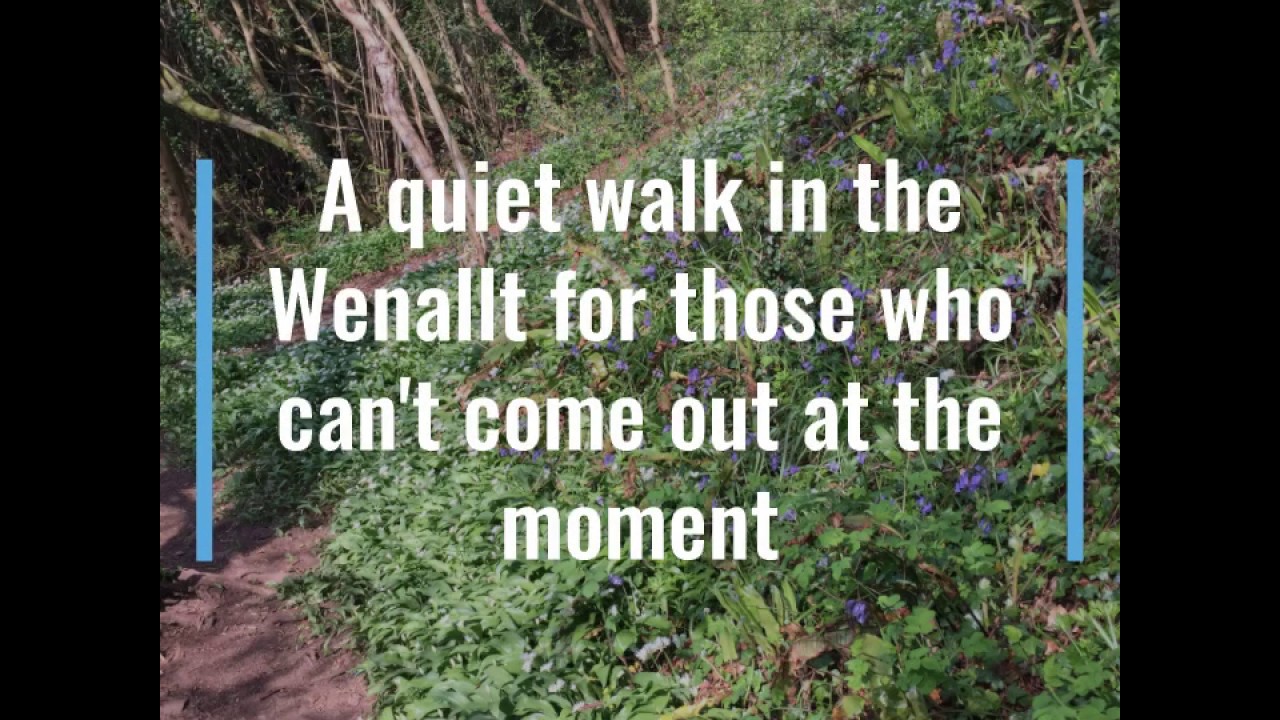 A walk in the Wenallt
