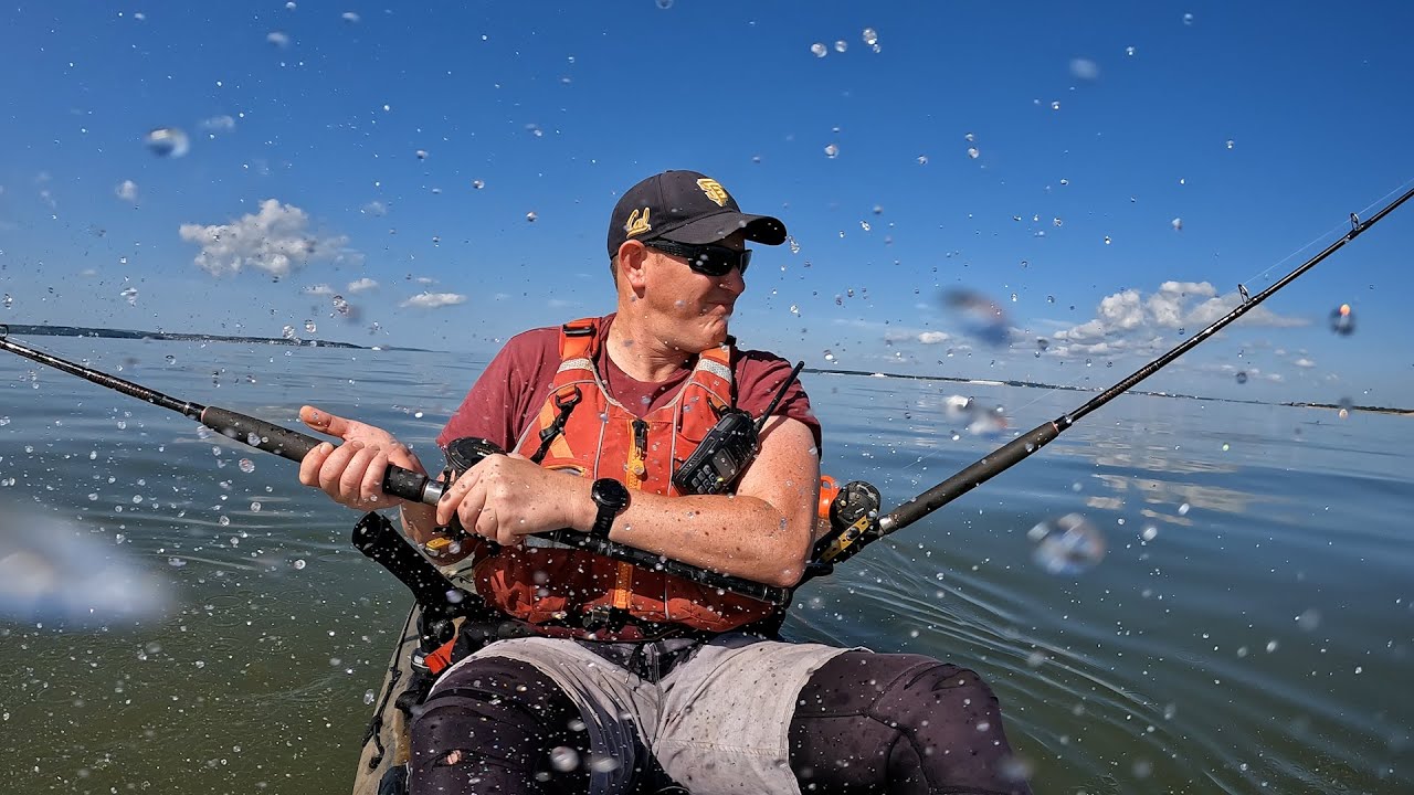 Smoothound Shark Fishing - Kayak Fishing UK - VLOG 12