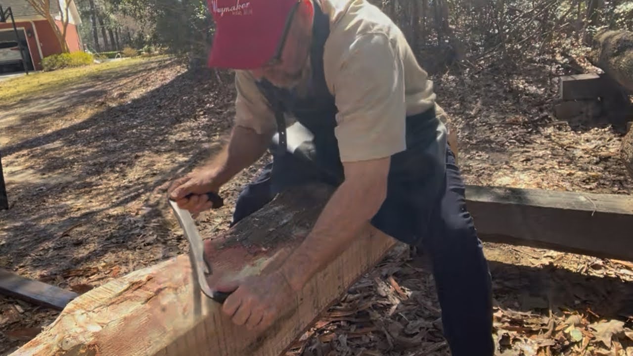 Peeling Bark Off a Water Oak
