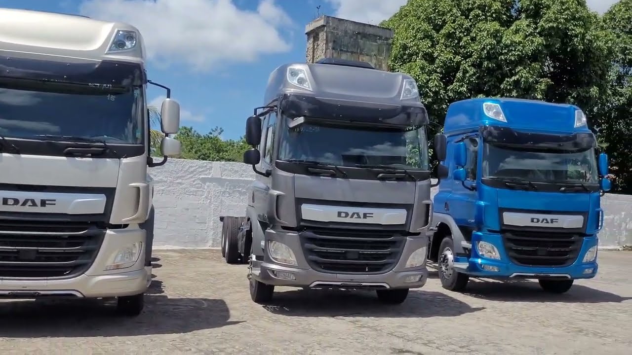 CAMINHÃO DAF CF 310, SERÁ QUE VAI SER A NOVA MÁQUINA DA FRINSCAL?