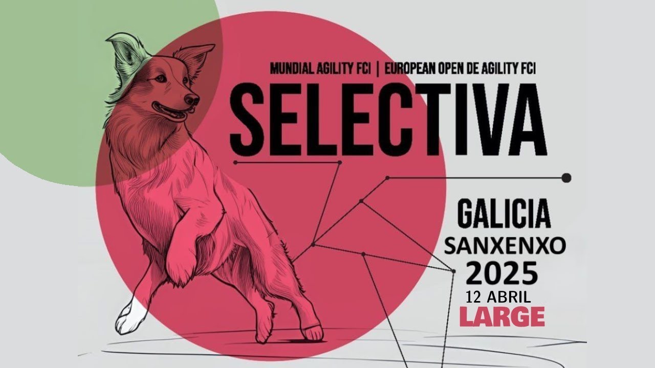 SELECTIVA AWC & EO AGILITY 2025 - LARGE (Sabado 12 - Sanxenxo - Galicia)