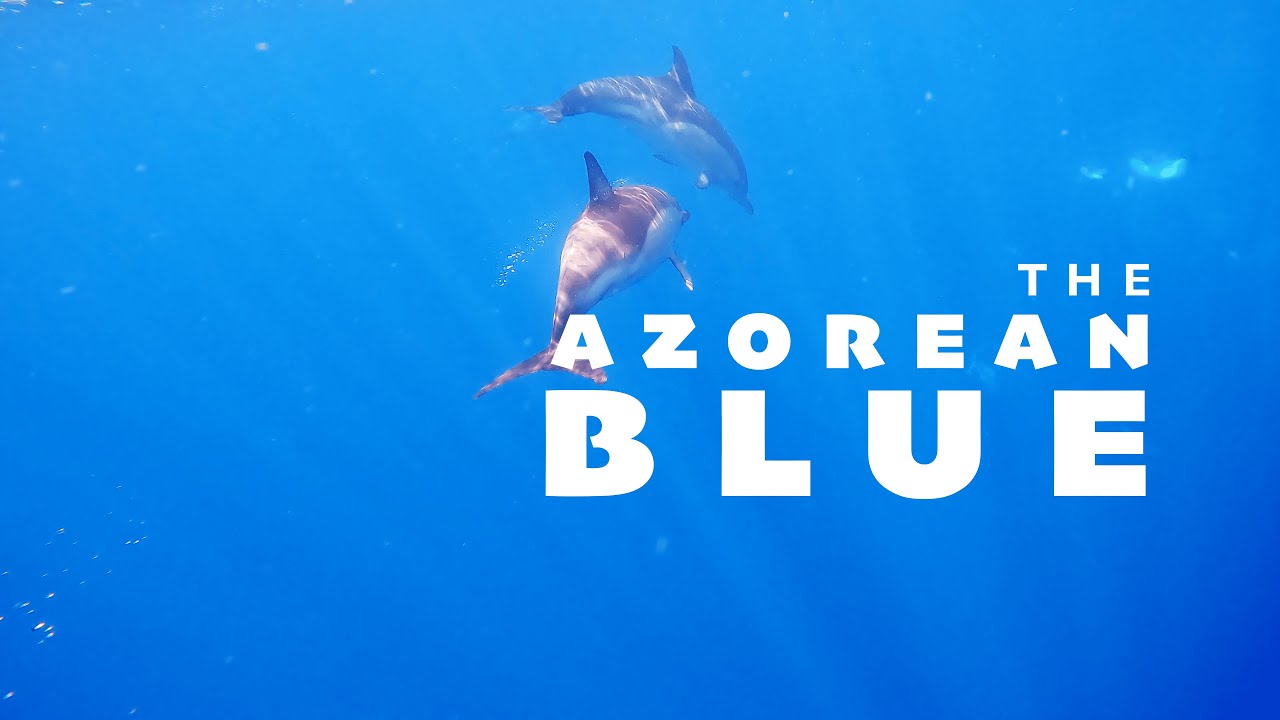 The Azorean Blue
