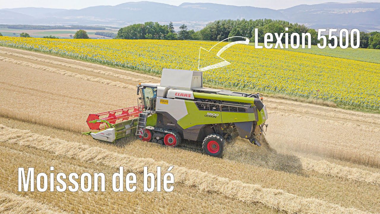 Moisson de blé 🌾 2023 | avec une lexion 5500 | l’ETA Gavillet et fils