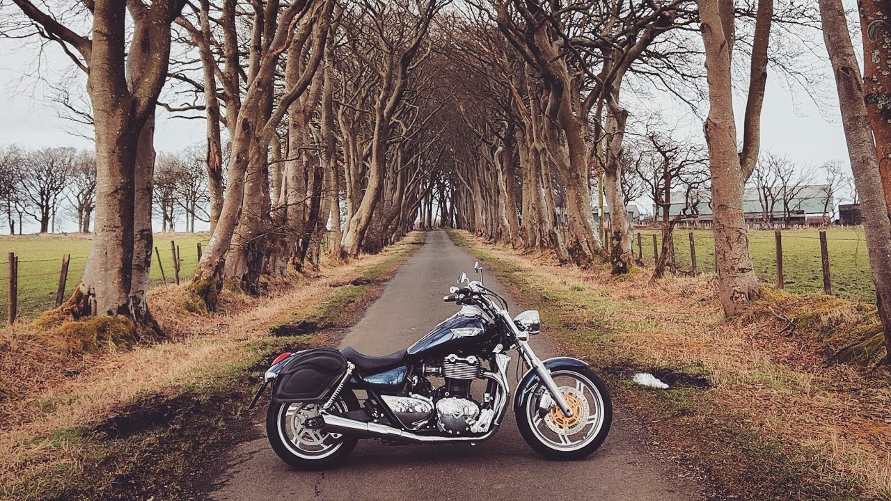 Identical Triumph thunderbirds ride out