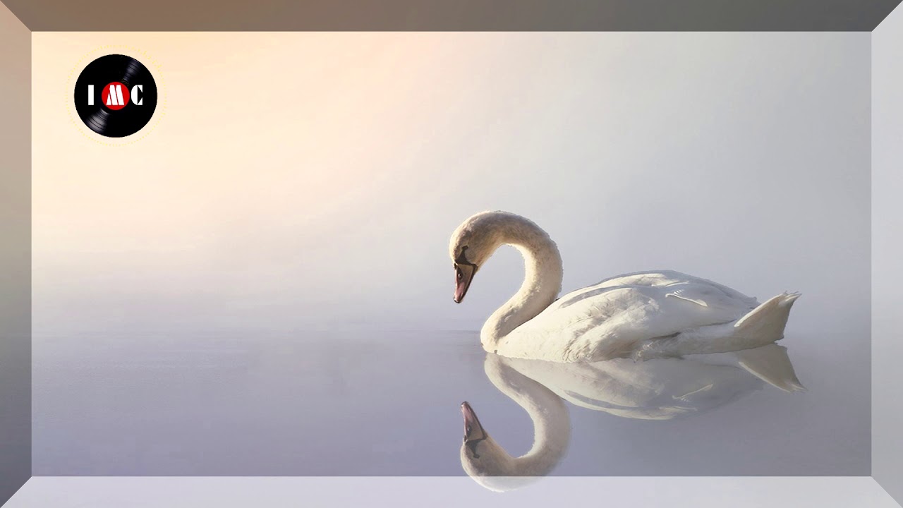 Homesick Instrumental Version ~ Loving Caliber