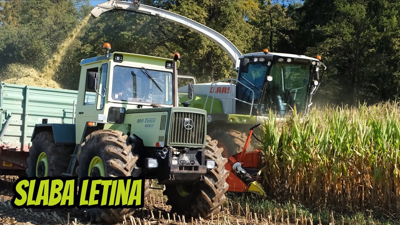 Siliranje koruze🌽 Kvaj blo to mase...👀
