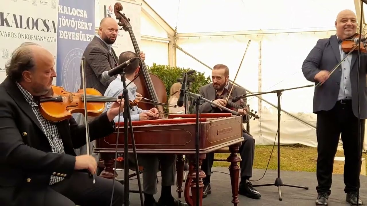Az idősek világnapján - Farkas Zsolt, Arany Cinege-díjas nótaénekest Patai Zoltán és zenekara kíséri