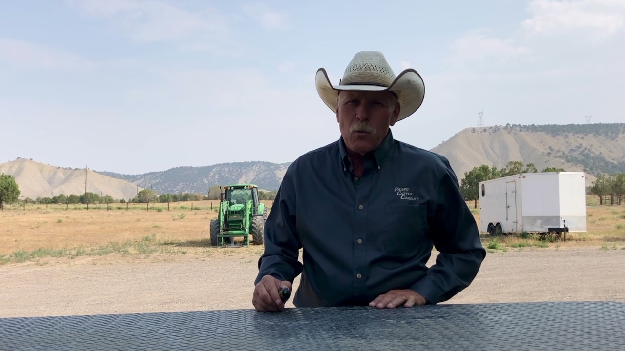 Herd Quitter® Minute - Cow Efficiency