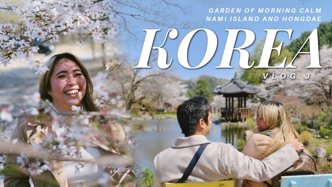 cherry blossom! garden of morning calm, nami island and hongdae
