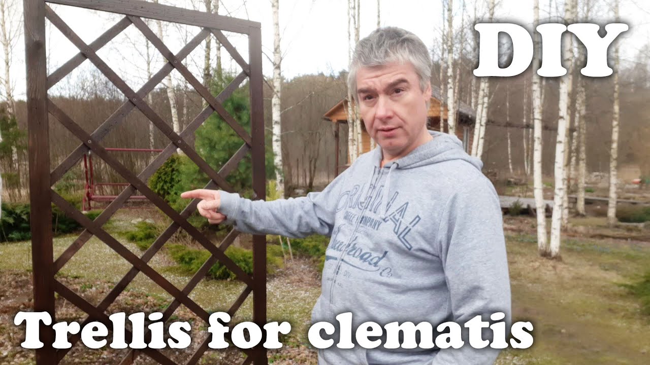 DIY trellis for clematis