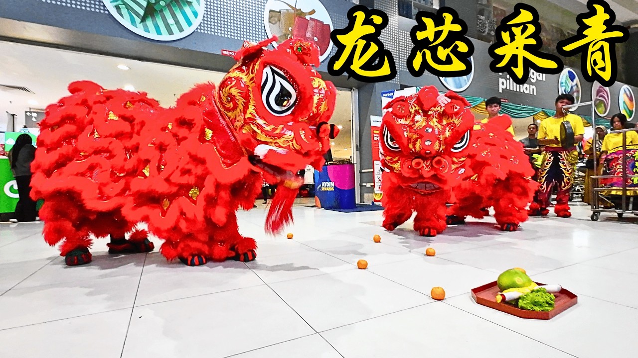 龙芯武术龙狮馆 - 之 - 2025 迎春采青 @ 梳邦再也 Mydin / 2025 Pre-CNY Long Xin Lion Dance @ Mydin Subang Jaya