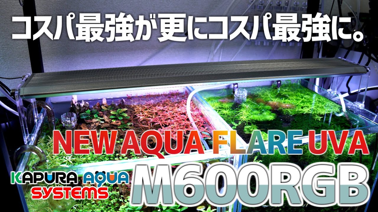 最強コスパライトが進化しすぎて更に最強コスパに。NEW AQUAFLAREUVA M600RGBレビュー&徹底検証。#470【アクアリウム】
