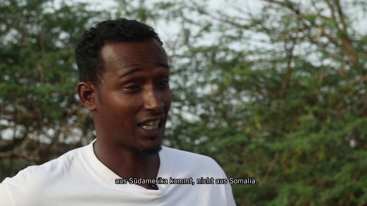 Prosopis in Somaliland – a tree as threat and opportunity