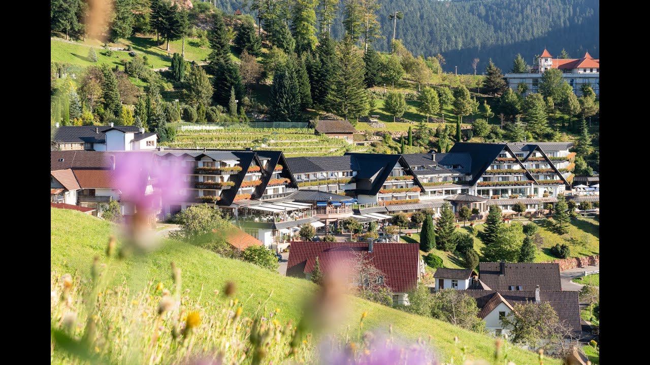 Erlebnis Schwarzwaldresort Dollenberg