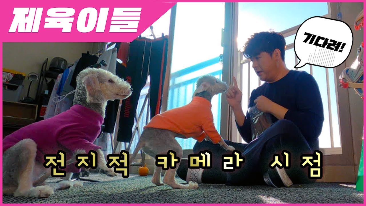 [제육이들] 4K 