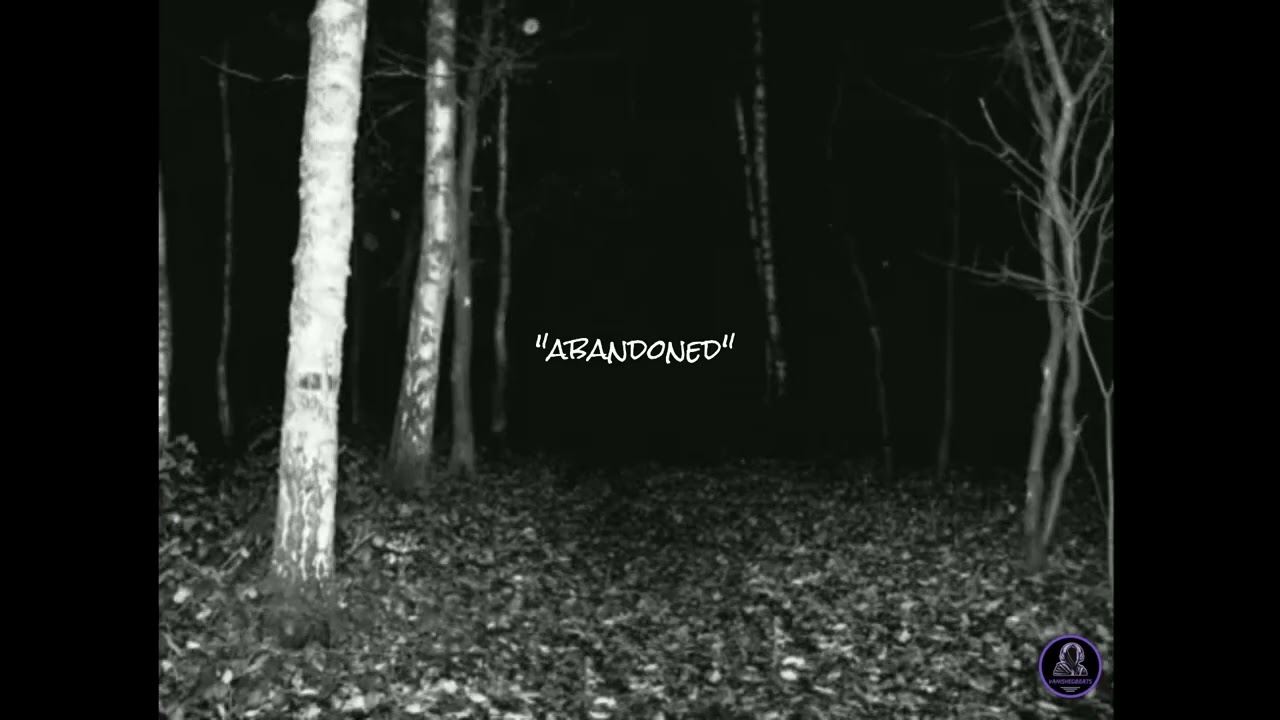 [FREE] rnb/punk emo type beat 