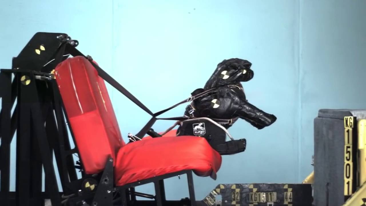 Kurgo Impact Dog Harness &mdash; Crashtest