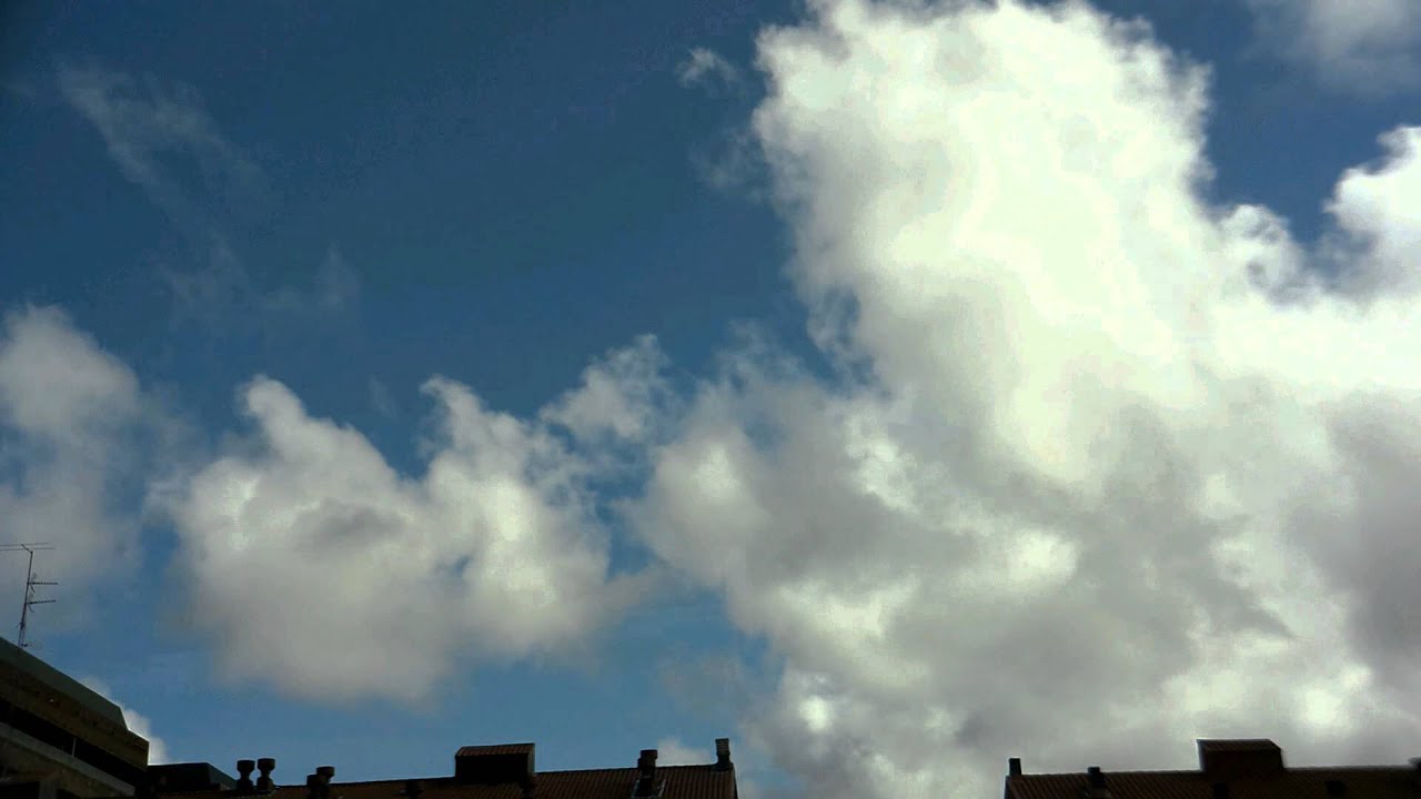 Nubes zamaia