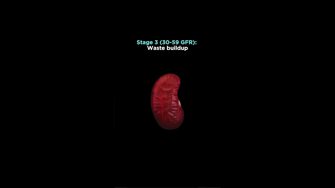 Reversing kidney disease is possible