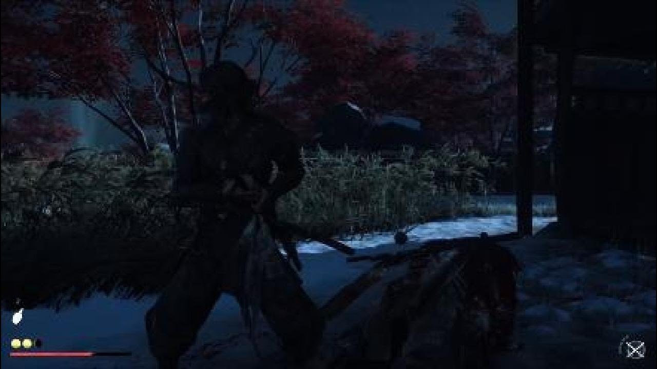 Ghost Of Yotei Pro Edition 4k