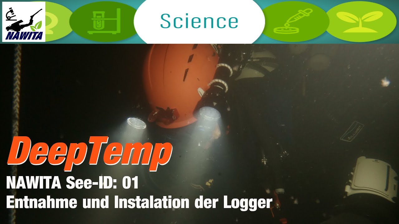 Deep Temp Part 2 - NAWITA & EXPLORER | Team  NAWITA See-ID: 01 (2024.05)