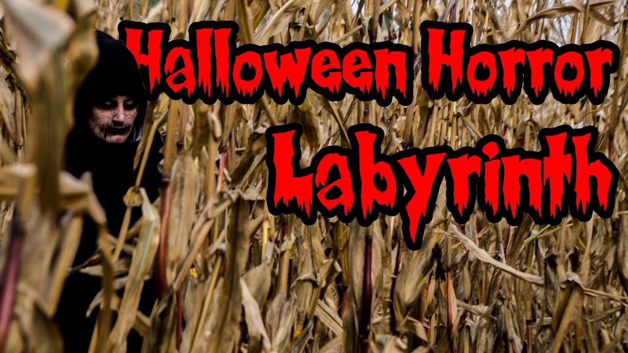 Halloween Horror Labyrinth     |     Hofladen Cord-Landwehr