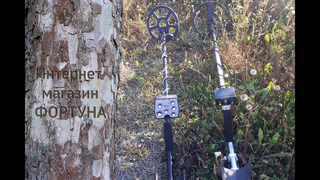 Сравнение Tesoro Tejon и Терминатор - М - что лучше