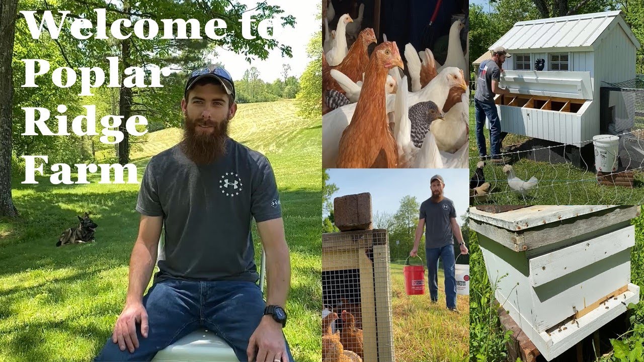 Who is Poplar Ridge? | My Journey to Starting a Small Farm
