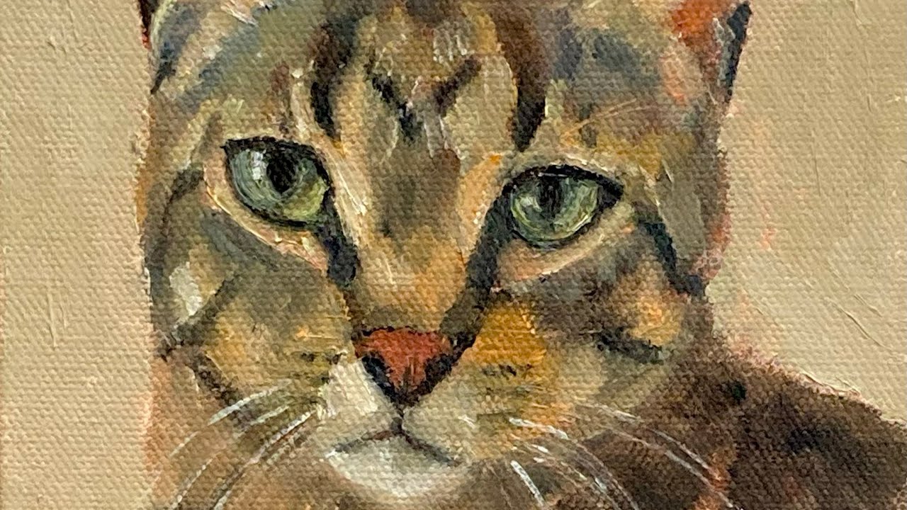 Starting a pet portrait, cat