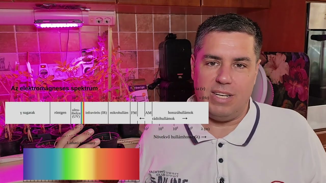 Növény lámpák, avagy full spektrum led.