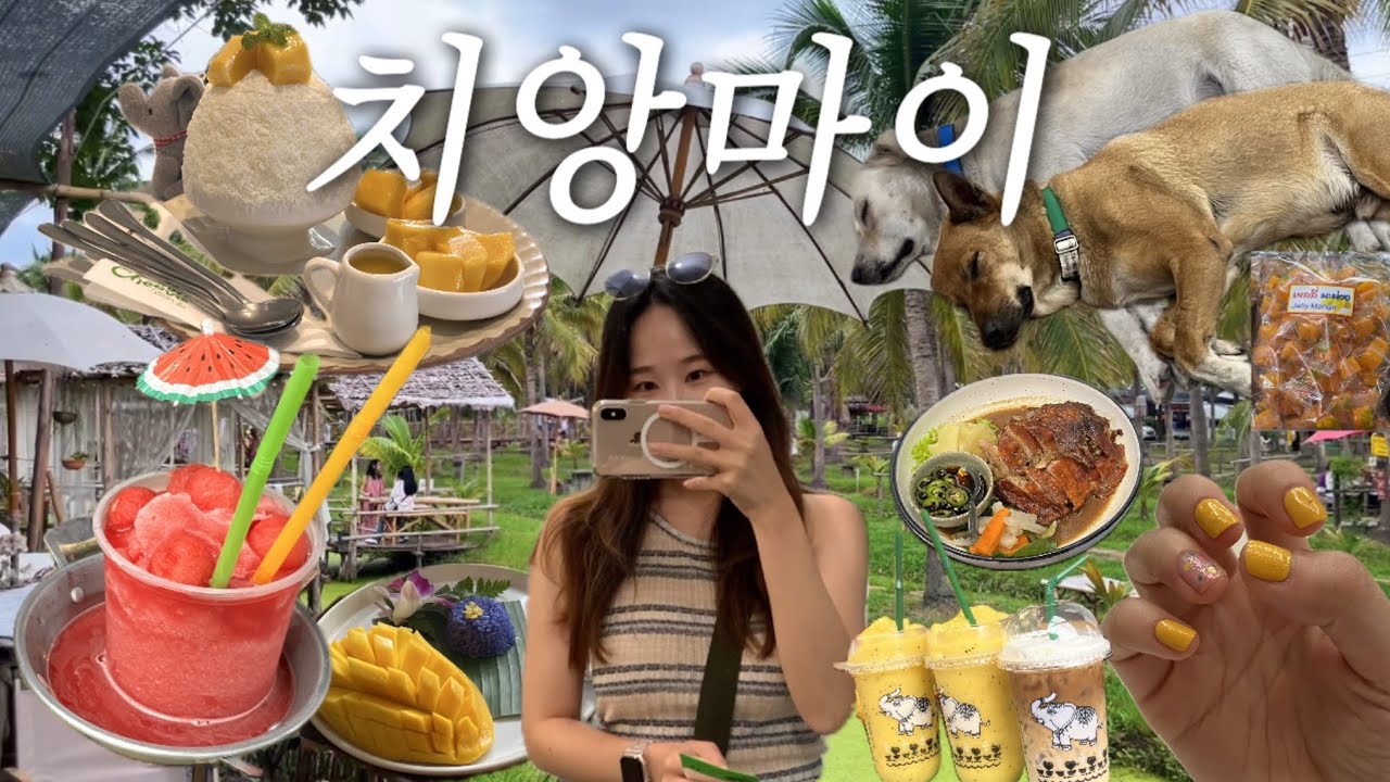 sub) 치앙마이 6박7일 VLOG | ⚠️노란색 젤리를 조심하세요 | 쿠킹클래스,커피농장투어,코코넛마켓,야시장 | 숙소, 맛집, 마사지 추천 | 🇹🇭 태국 여행 브이로그