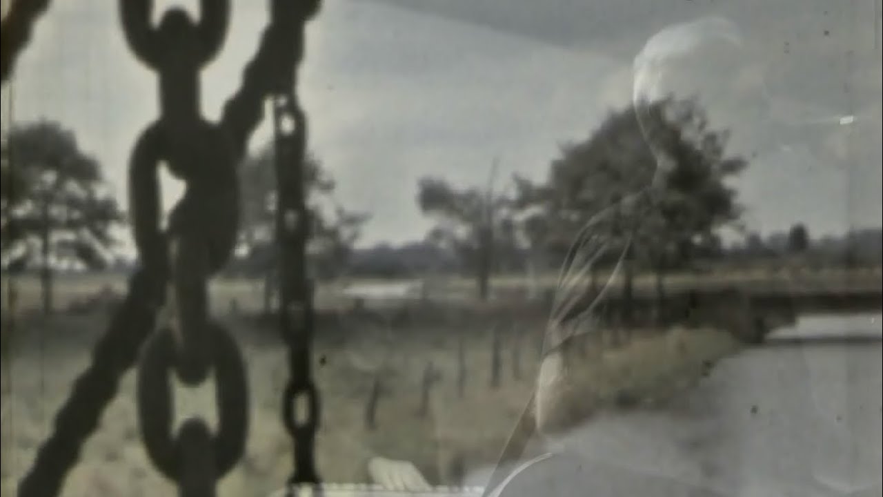 Darkwood - Chased by the Swans