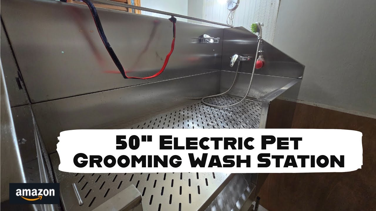 Electric Lifting Dog Tub Unboxing | See It In Action
