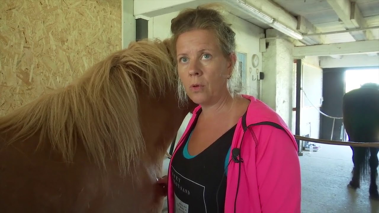 Frasse har ont i ryggen