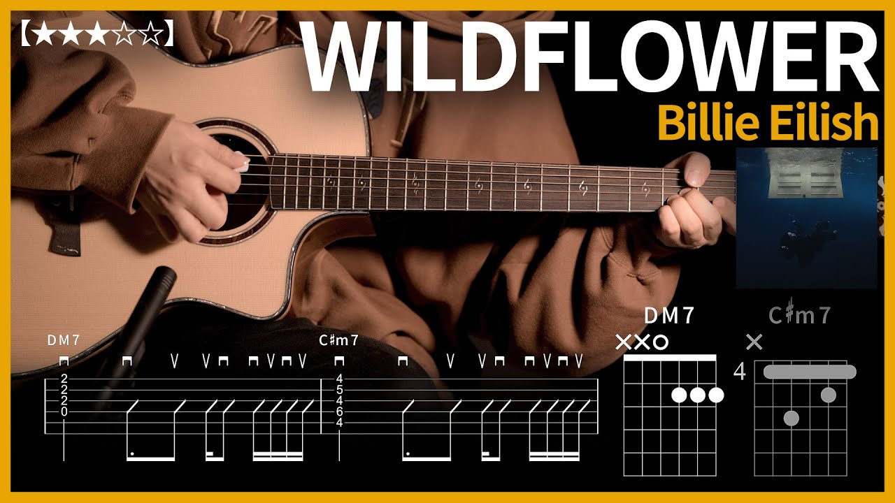 539.Billie Eilish - WILDFLOWER 기타커버 【★★★☆☆】 | Guitar tutorial |ギター 弾いてみた 【TAB譜】