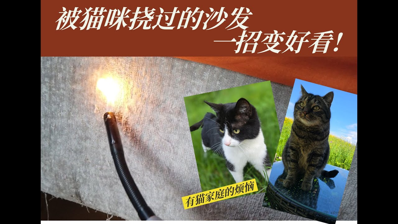 被猫咪挠过的沙发，一招变好看! 瑞士生活 | 田园生活 | 宠物 | 养猫家庭 | 猫咪抓挠解决办法 | 猫咪顽皮 | 记录生活 | 生活小妙招 | 布艺沙发 | 爱好猫咪 | 萌宠