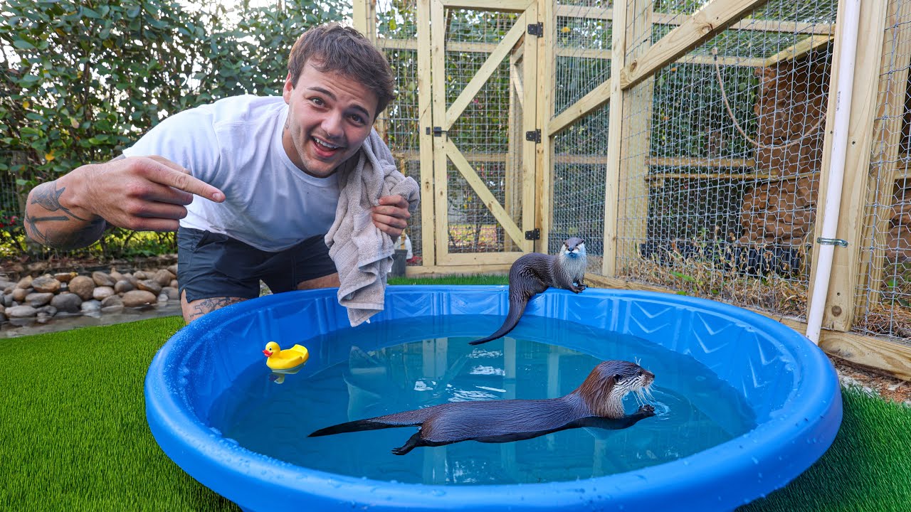 My BABY OTTERS FIRST TIME SWIMMING!!