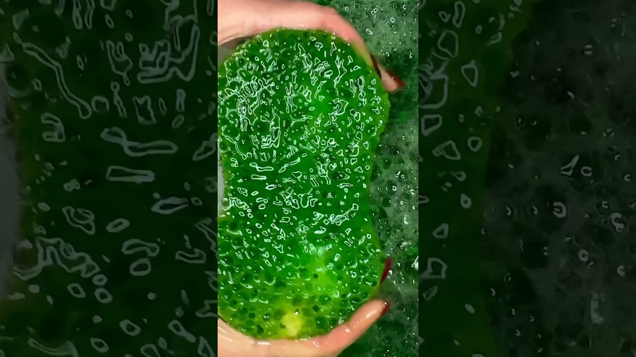 DISH SOAP🍏5 L #sponge #squeeze