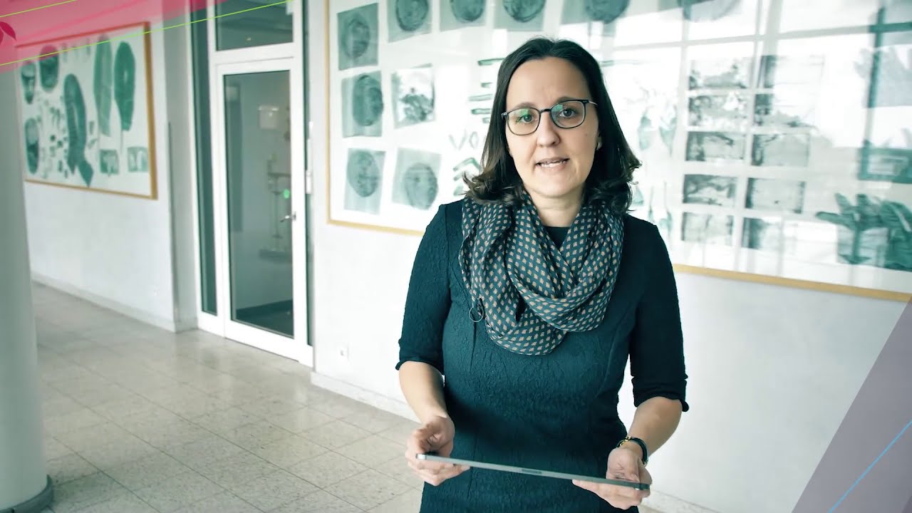 Digital Technologies in Pharma R&D at Bayer