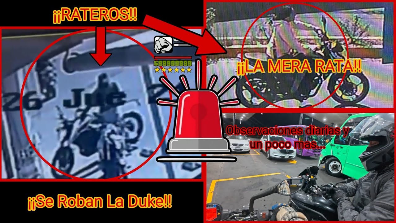 OBSERVACIONES DIARIAS #9 / SE ROBAN LA DUKE 🐁...DESPUES DE HABERLA VENDIDO 🐁💥🚓