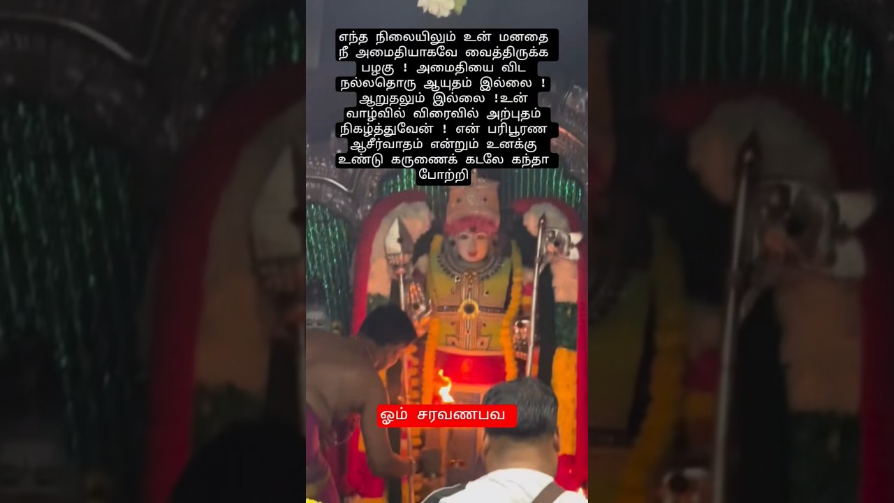 Om muruga saranam 🙏 #murugan #lordmurugan #hindudeity