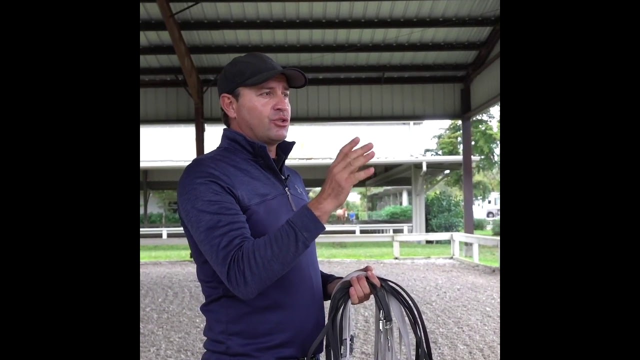 Starting a Young Horse with Long Lines | Long Lining with Claudio Oliveira