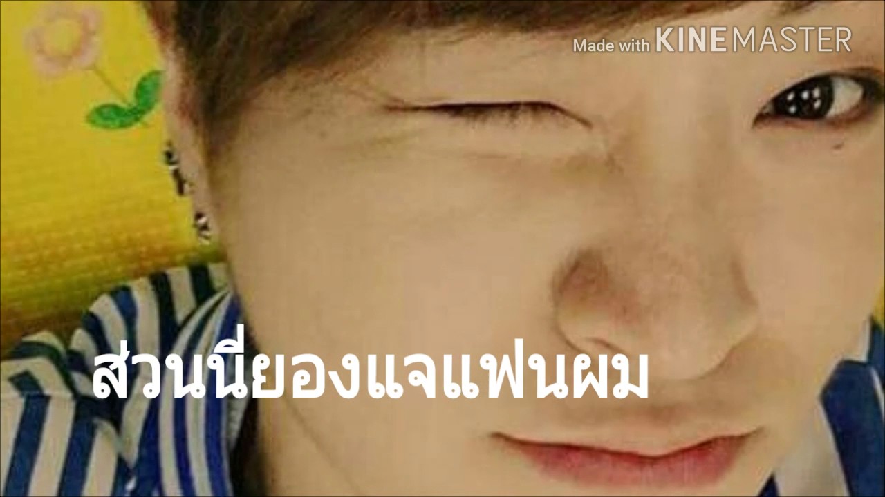 OPV-JACKJAE (แจ็คแจ)  เพลงใบไม้ 《ลงใหม่》