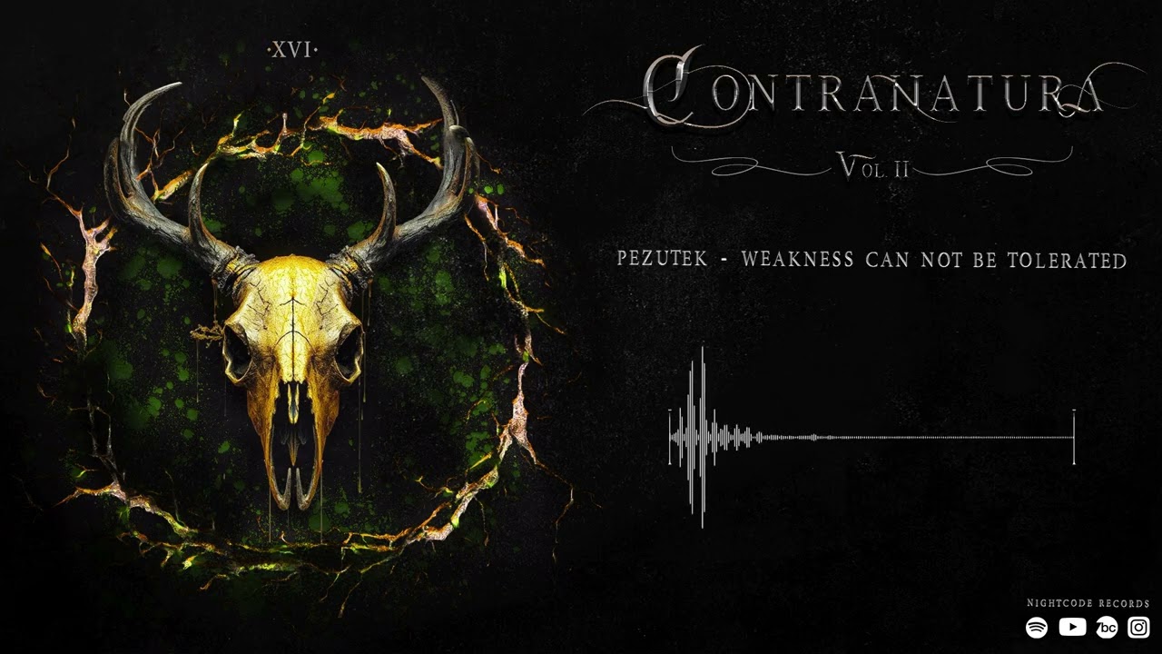 Pezutek - Weakness Can Not Be Tolerated